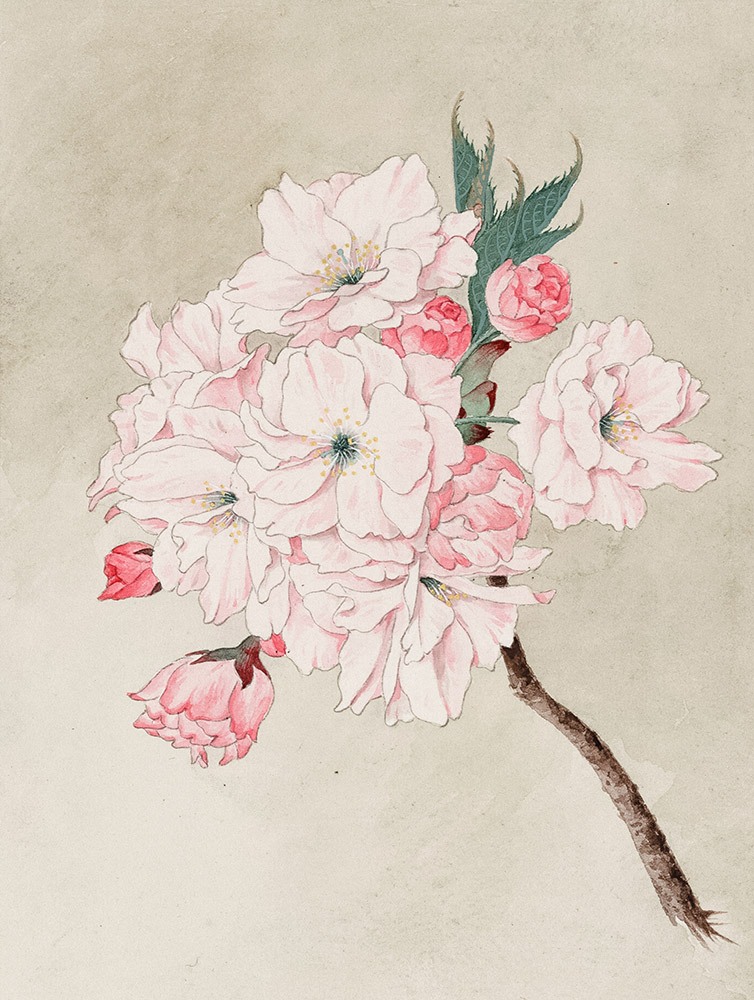 Photo by Library of Congress on Unsplash