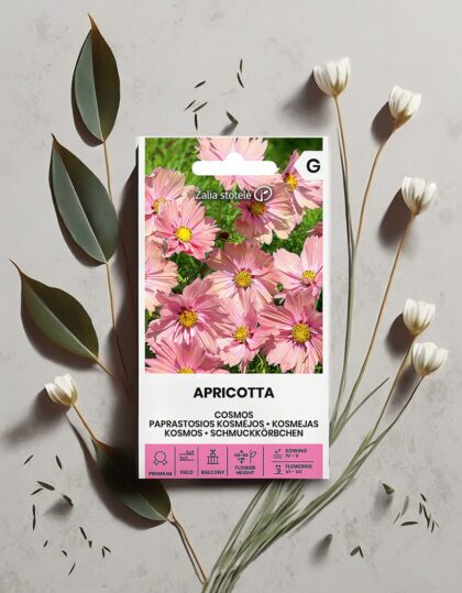 Kosmos - Apricotta seemned