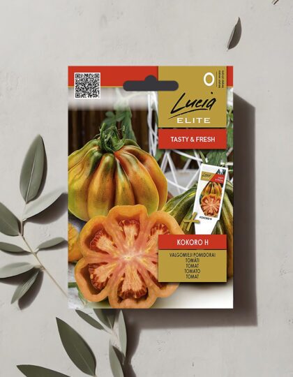 Tomat "Kokoro H" seemned