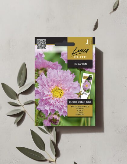 Täidisõielise kosmose seemned 'Double Dutch Rose'