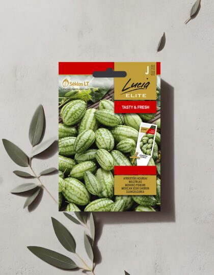 Mehhiko Pisikurk ehk Hiirmelon