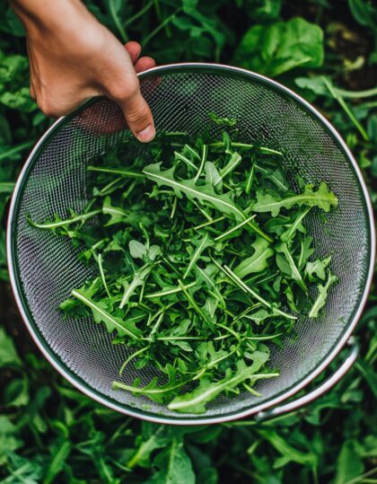 Põld-võõrkapsas (rukola) orgaanilised seemned