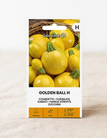 Kollase kõrvitsa seemned