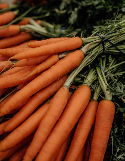 Porgandi seemned Koral