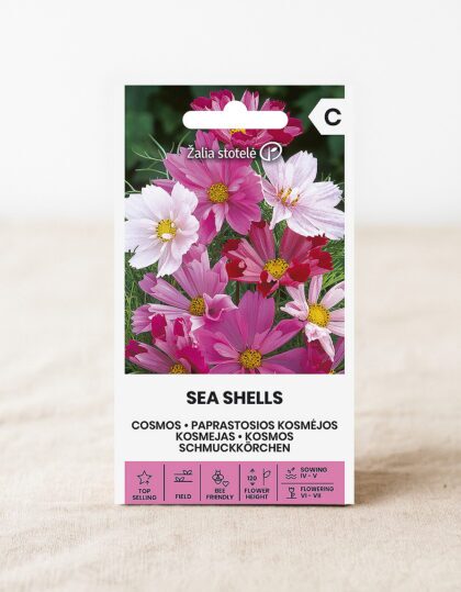 kosmose seemned sea shells