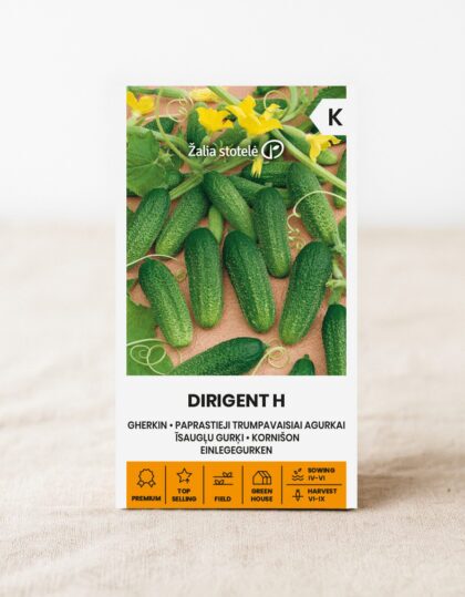 Marineerimiskurgi seemned 'Dirigent H'