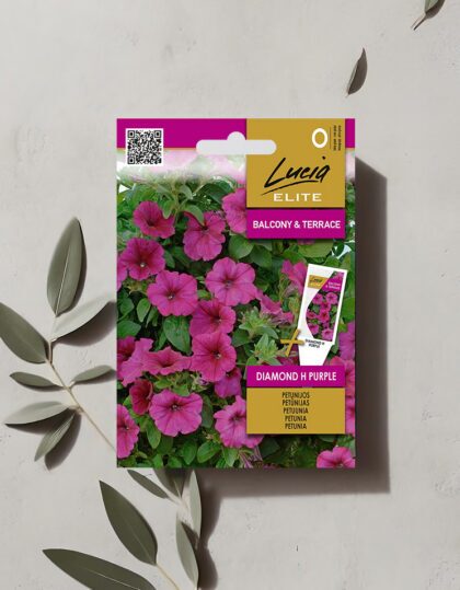 Ripp-petuunia “Diamond H Purple” seemned