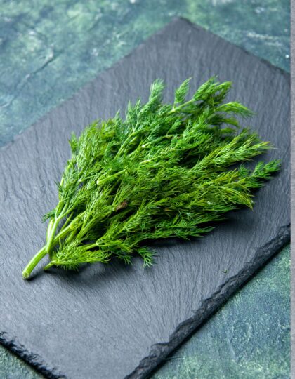 Hariliku tilli seemned 'Common'