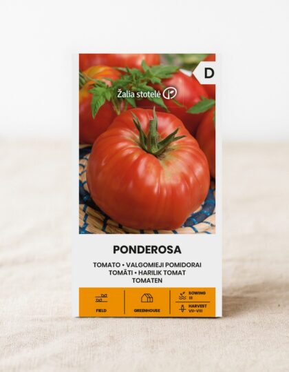 Tomati seemned 'Ponderosa'
