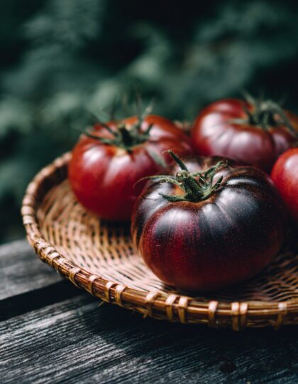 Tomati seemned 'Black Prince'