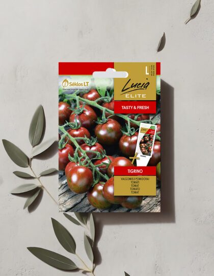 Tomati seemned 'Tigrino'