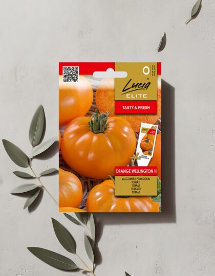 Tomati seemned 'Orange Wellington H'