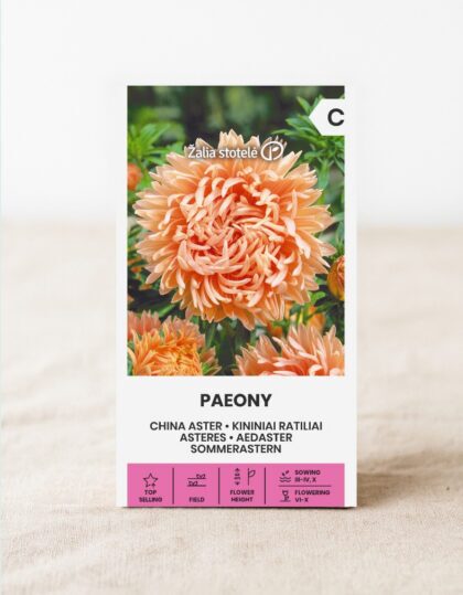 Hiina aedastri seemned 'Paeony' lõheroosa