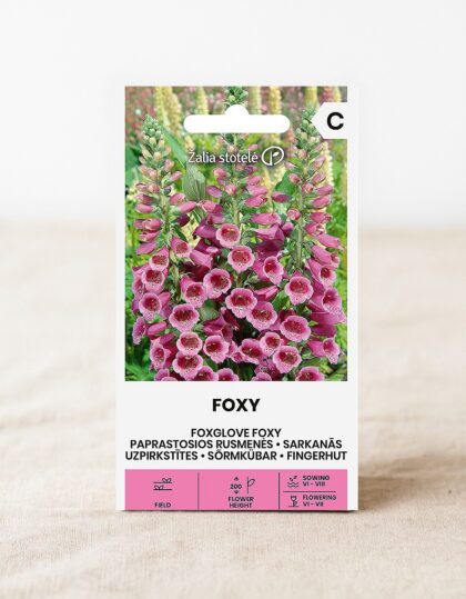 Sõrmkübar ‘Foxy’