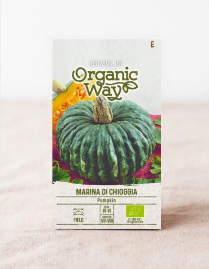 Kõrvits ‘Marina di Chioggia’ – (ökoloogiline)