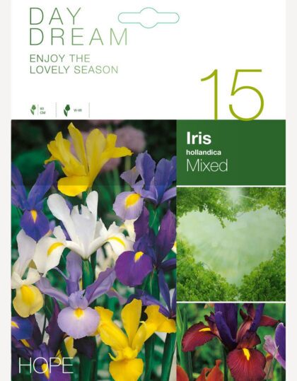 hollandi iiriste segu