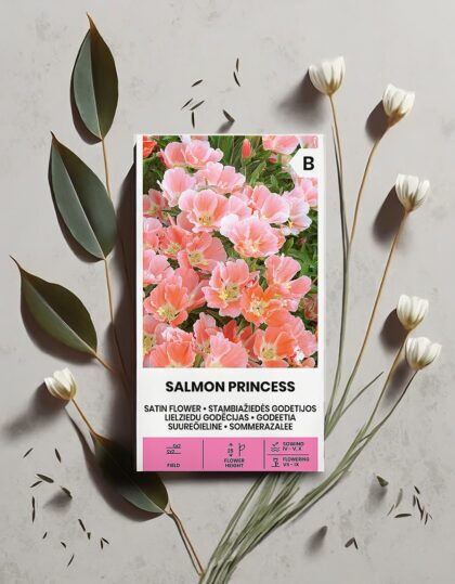 Suureõieline Sametlill "Salmon Princess"