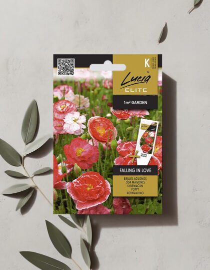 Mooni seemned "Falling in Love"