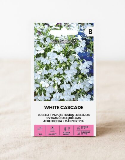 valge lobeelia