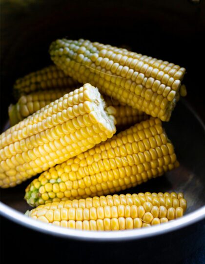 magusa maisi seemned