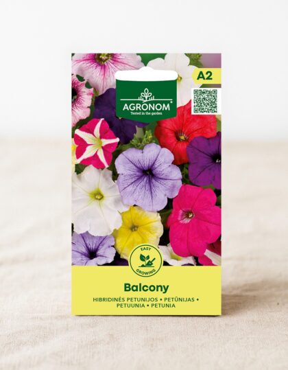 Petuunia ‘Balcony’ seemned