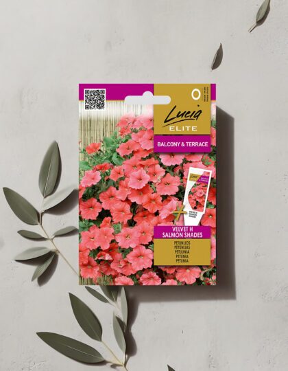 Petuunia seemned 'Velvet H Salmon Shades'