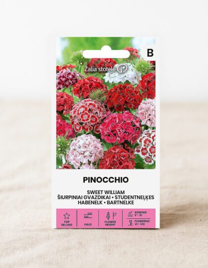 Habenelgi seemned "Pinocchio"