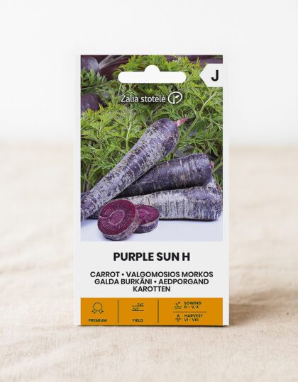 Lilla porgandi seemned 'Sun H'