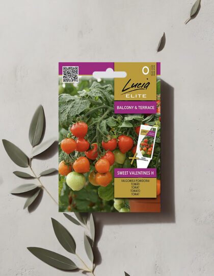 Kirsstomati seemned 'Sweet Valentines H'
