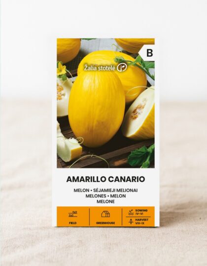 amarillo melon