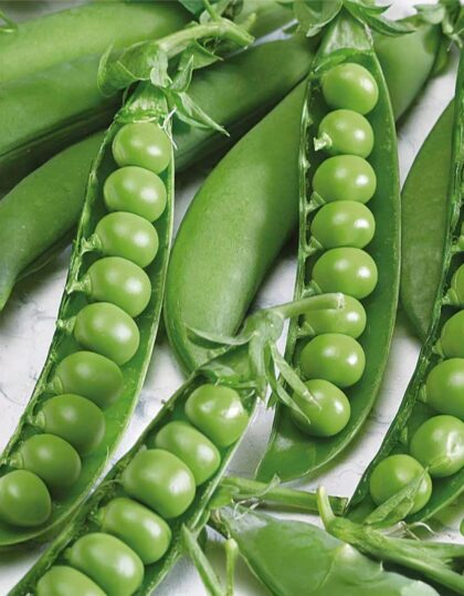 Aedhernes ‘Avola’ – 20 g