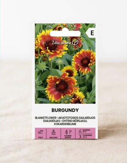 Ohtene mõrsjalill ‘Burgundy’