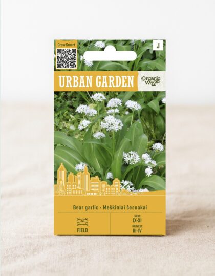 Karulauk (Allium ursinum)