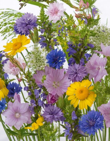 Lilleseemnete segu sääskede ja puukide peletamiseks