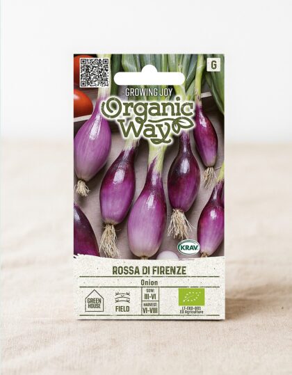 Sibul ‘Rossa di Firenze’ (ökoloogiline)