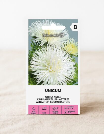 Hiina aedastri seemned 'Unicum' valge