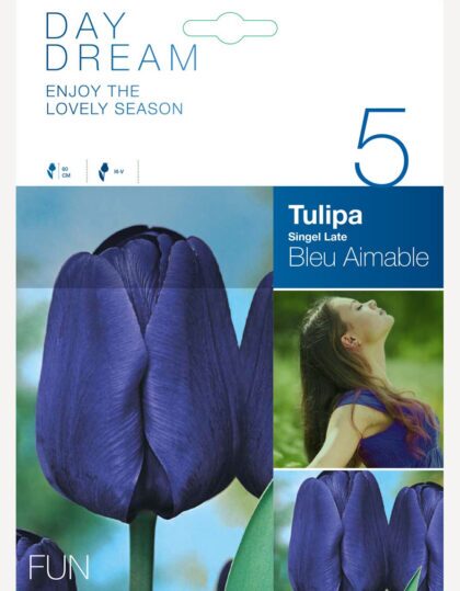 Hiline tulp ‘Bleu Aimable’ - 5tk
