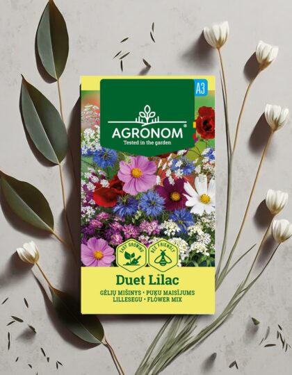 Lilleseemnete segu 'Duet Lilac'