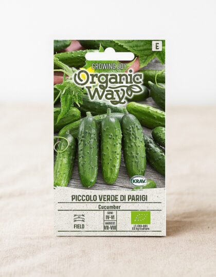 orgaanilise kurgi seemned