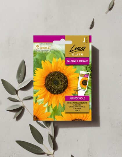 Päevalille seemned 'Sunspot Gold'