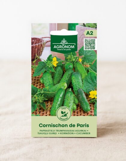 Avamaa kurk ‘Cornichon de Paris’