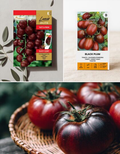 Mustade tomatite komplekt