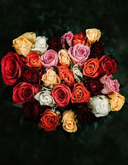 Roos mullapalliga (mix)