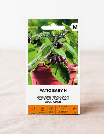 Baklažaan ‘Patio Baby H’